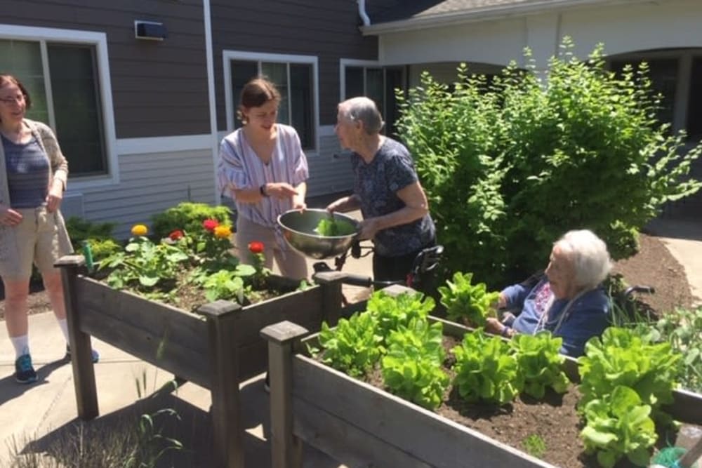 Residents gardening at The Reserve at East Longmeadow in East Longmeadow, Massachusetts