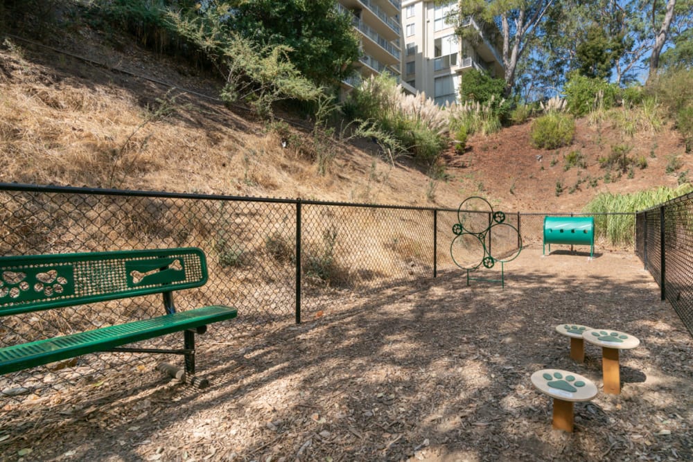 Onsite bark park at Sofi Belmont Glen in Belmont, California