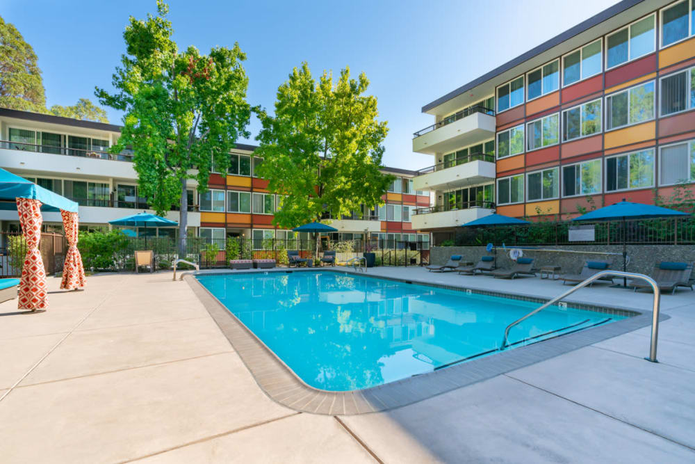 Sparkling swimming pool with mature trees nearby at Sofi Belmont Glen in Belmont, California