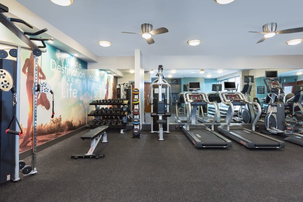 Treadmills and other cardio machines in the fitness center at Sofi Belmont Glen in Belmont, California