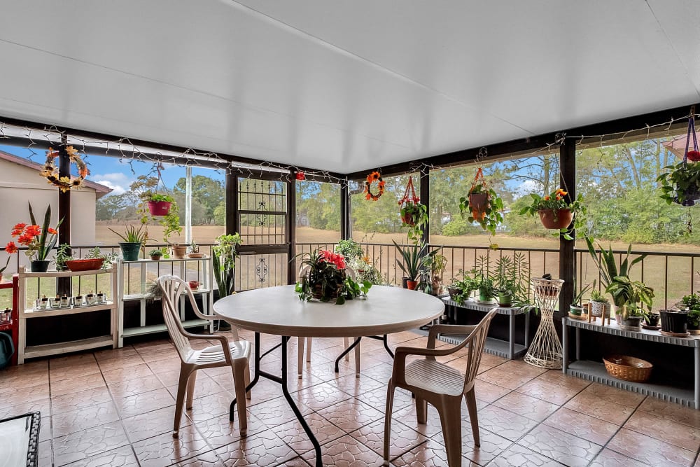 Sun room at Spring Oaks with plants handing from window