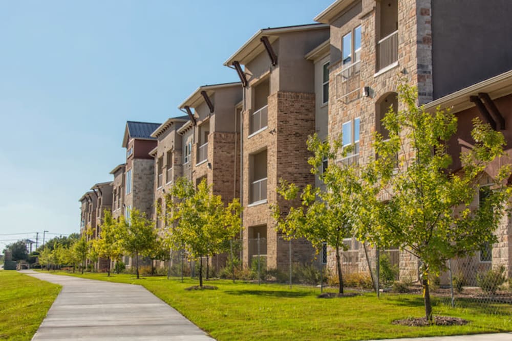 Grassy areas at Artistry at Craig Ranch in McKinney, Texas