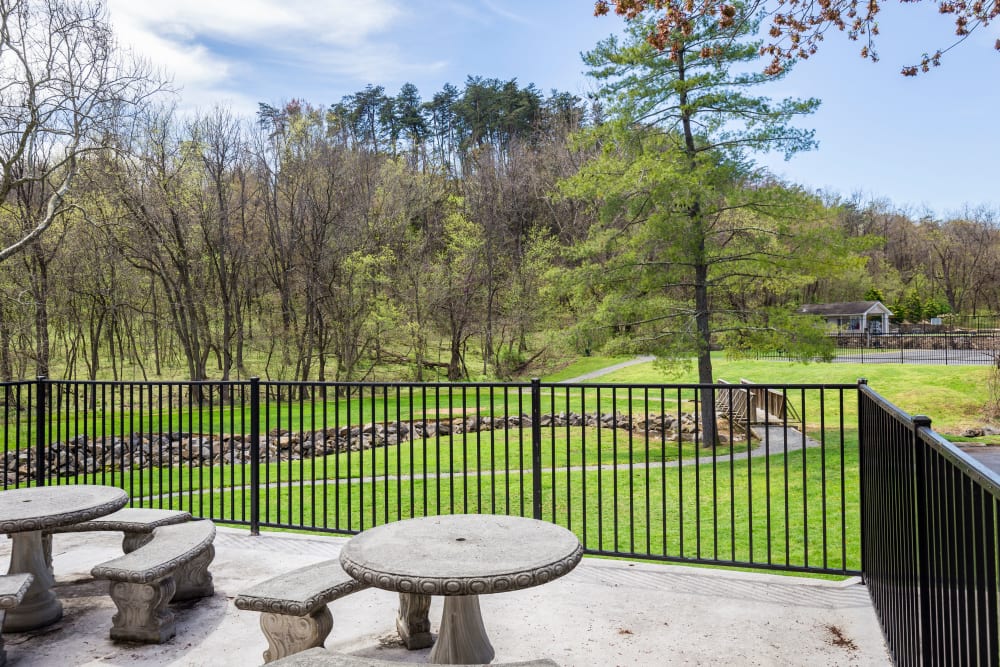 Outdoor BBQ grill area at Salem Wood Apartments in Salem, Virginia