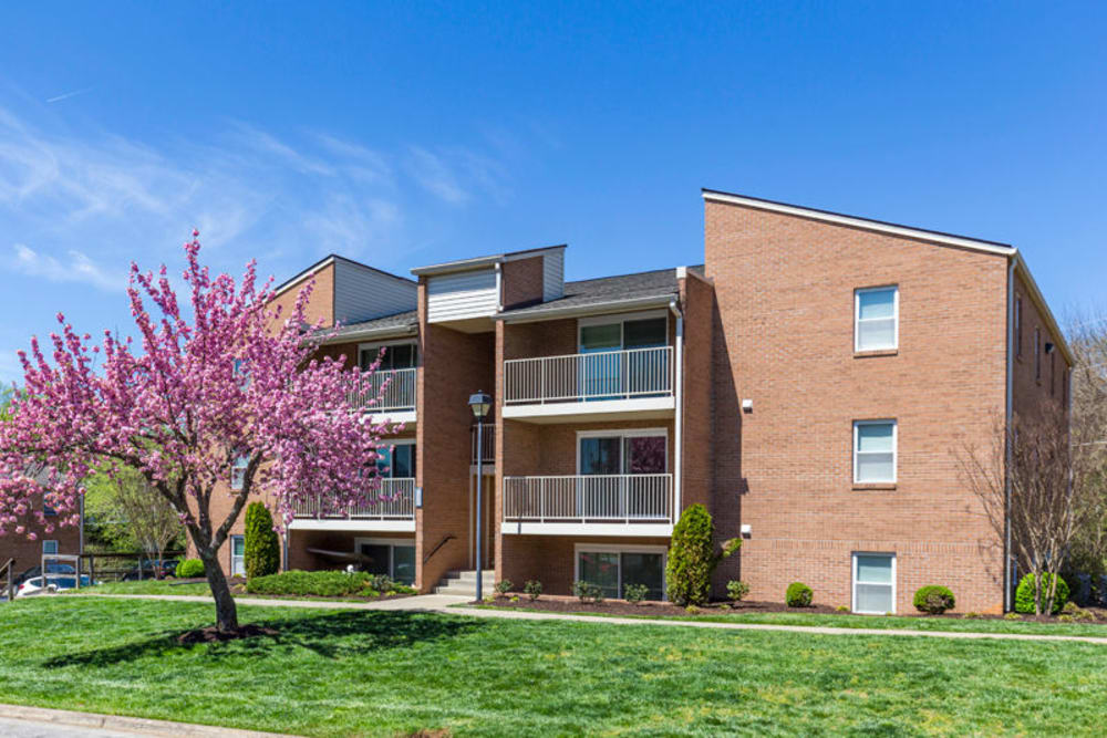 Beautiful green space and trees at The Crest Apartments in Salem, Virginia