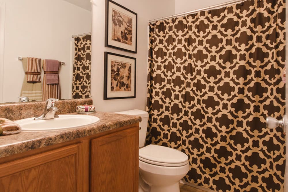 Bathroom at The Crest Apartments in Salem, Virginia