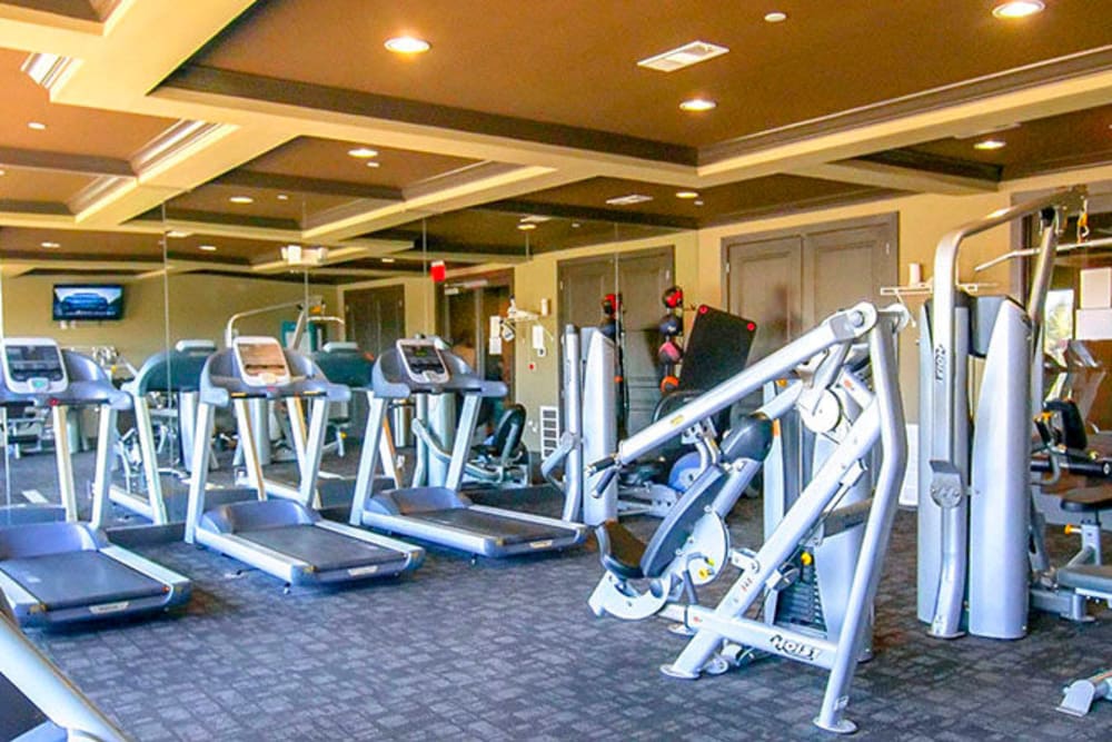 Onsite fitness center at Anatole on Briarwood in Midland, Texas