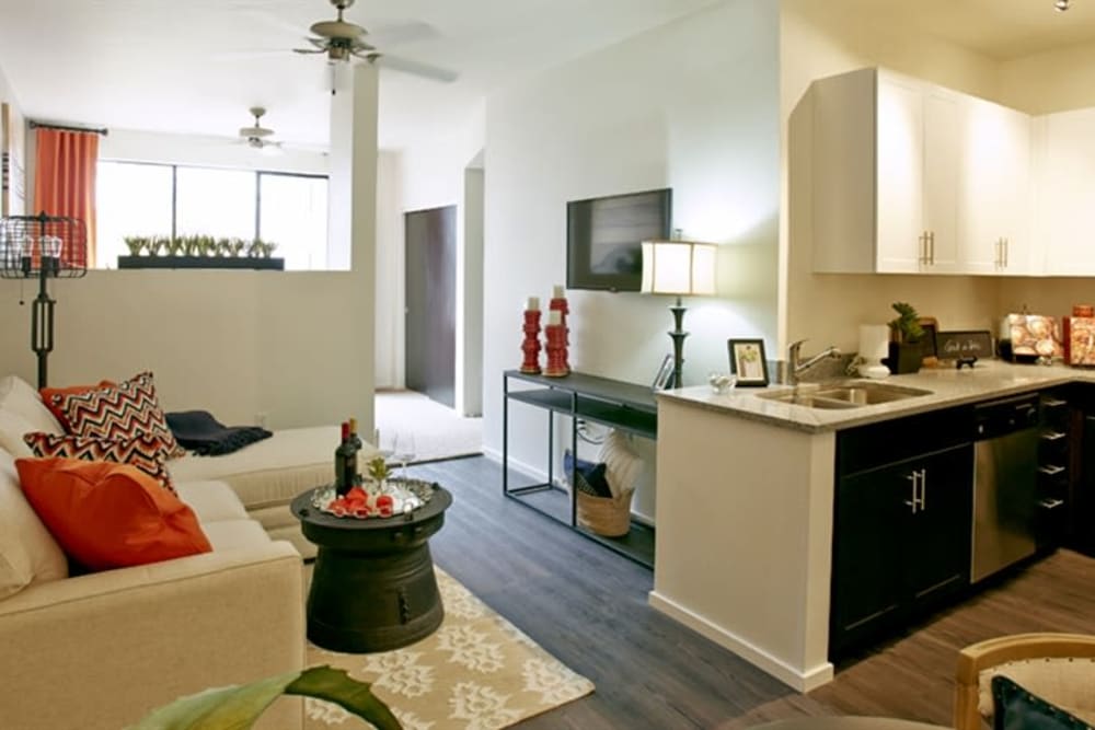 Luxury Apartments In North Phoenix Az Cactus Forty 2