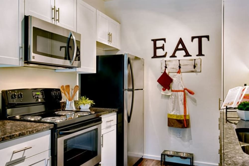 Luxury Apartments In North Phoenix Az Cactus Forty 2