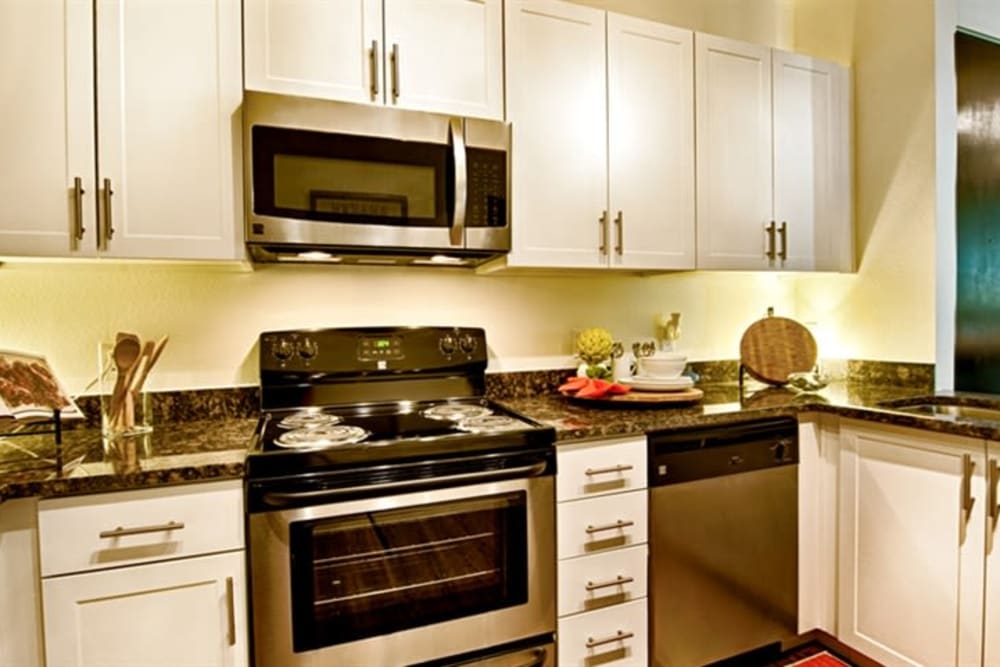 Luxury Apartments In North Phoenix Az Cactus Forty 2