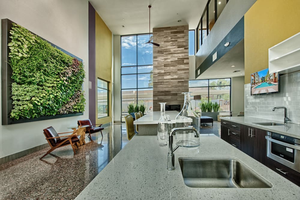 North Phoenix, AZ Apartments for Rent | Cactus Forty-2