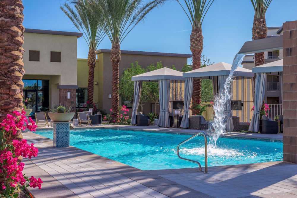Resort-style swimming pool surrounded by palm trees at Cadia Crossing in Gilbert, Arizona