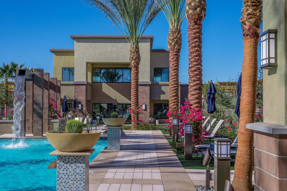 Well-maintained flora and chaise lounge chairs around the pool at Cadia Crossing in Gilbert, Arizona