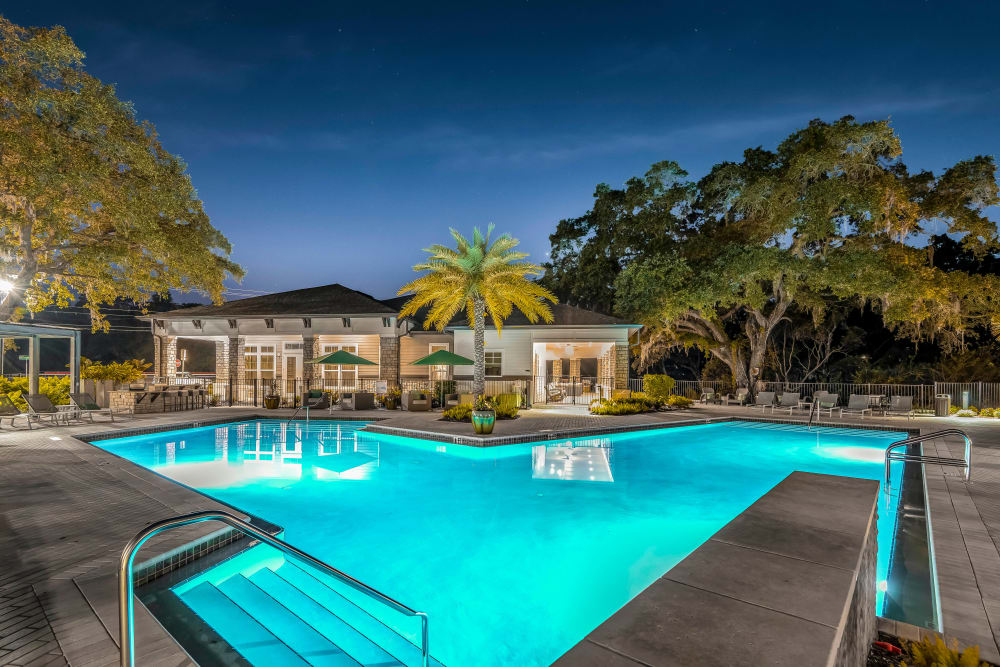 Casas En Venta En Citrus Park Tampa Fl