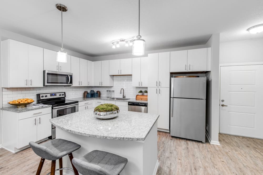 Stainless-steel appliances and granite countertops in a model home at Canopy at Citrus Park in Tampa, Florida