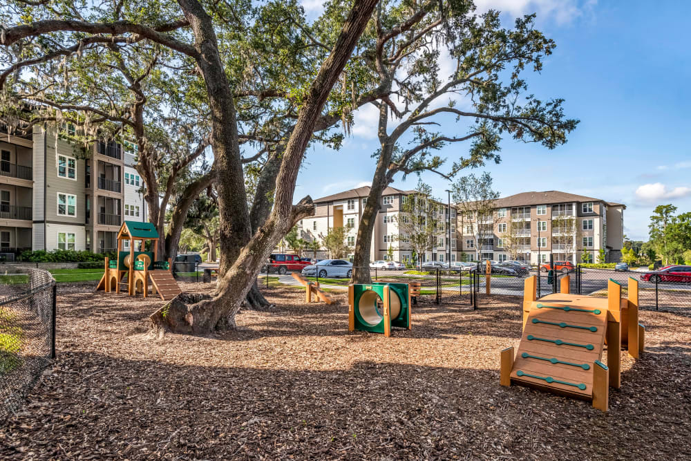 Onsite bark park for your dogs at Canopy at Citrus Park in Tampa, Florida