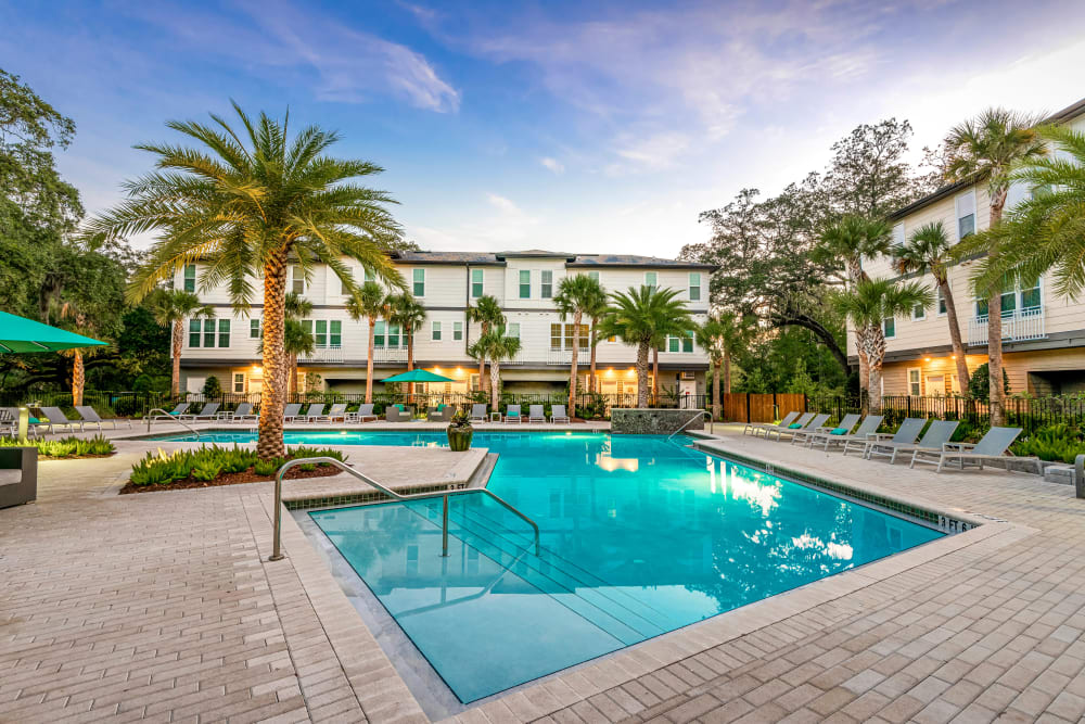 Resort-style swimming pool surrounded by well-maintained flora at Canopy at Citrus Park in Tampa, Florida