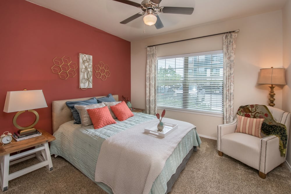 Accent wall and a ceiling fan in the primary bedroom of a model apartment home at Carrington Oaks in Buda, Texas