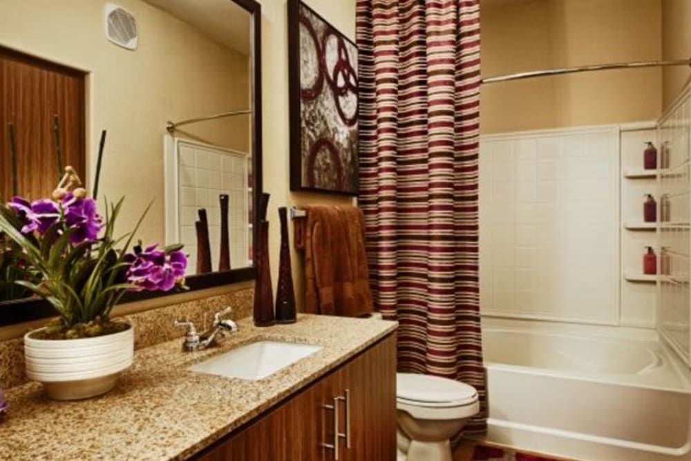 Granite countertop and a tiled shower in the bathroom of a model home at Elevation Chandler in Chandler, Arizona