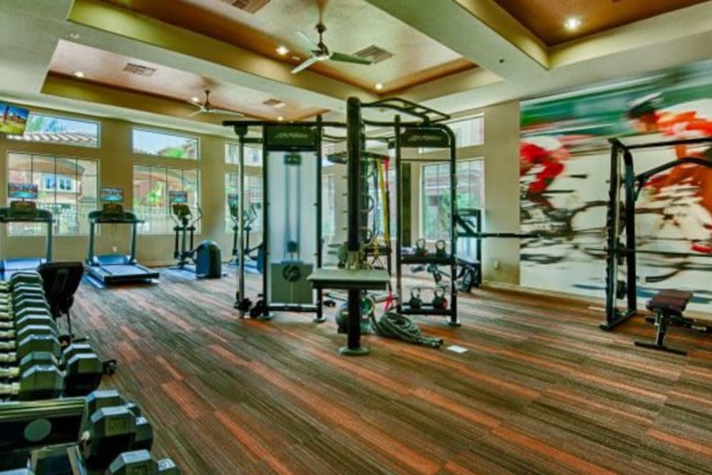 Expansive fitness center at Elevation Chandler in Chandler, Arizona