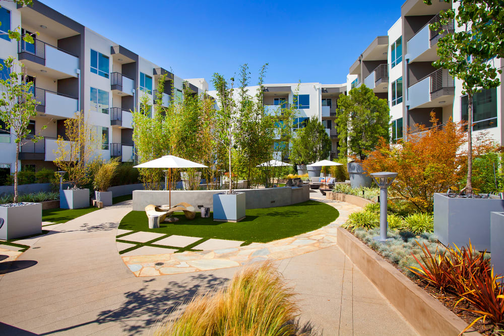 Photos of Brio Apartment Homes in Glendale, California