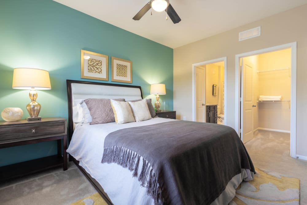 Model apartment home's primary bedroom with an accent wall and a ceiling fan at Legends at White Oak in Ooltewah, Tennessee