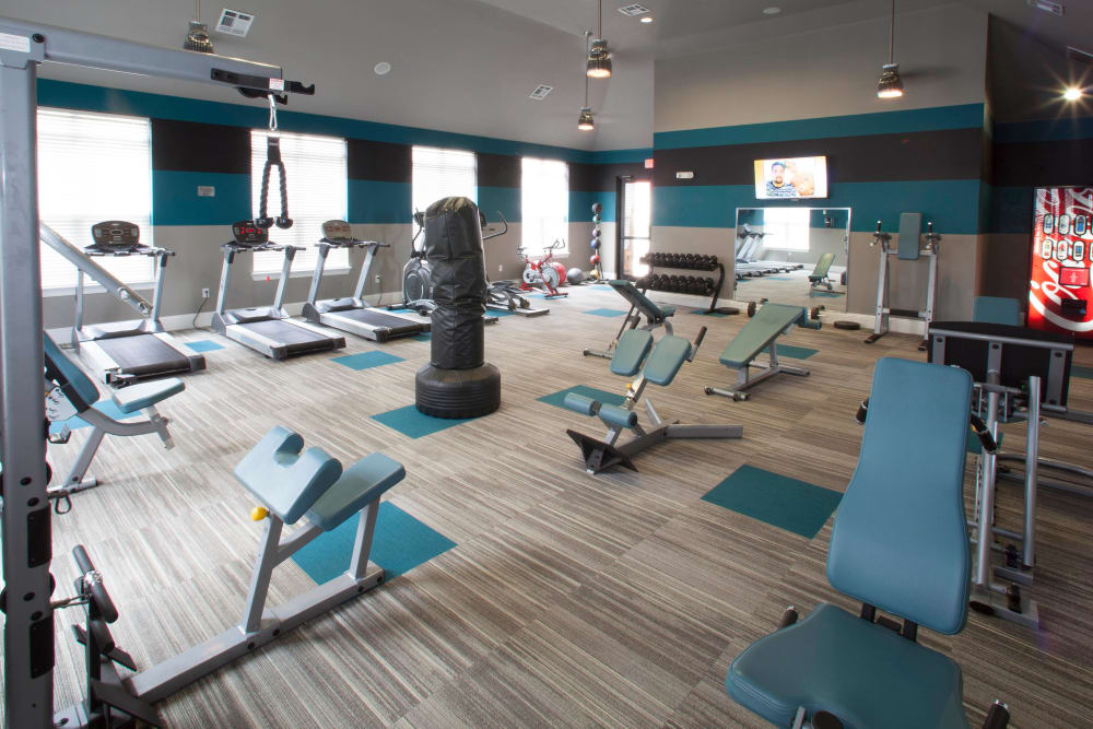 Fitness center with ample equipment at Olympus Katy Ranch in Katy, Texas