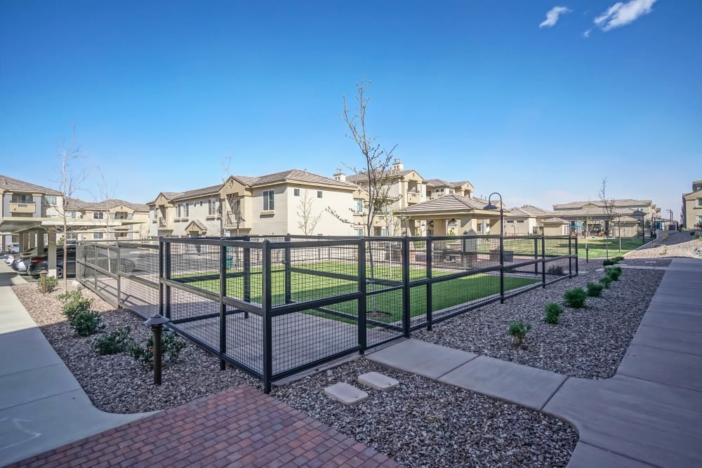 Onsite bark park at Olympus Northpoint in Albuquerque, New Mexico