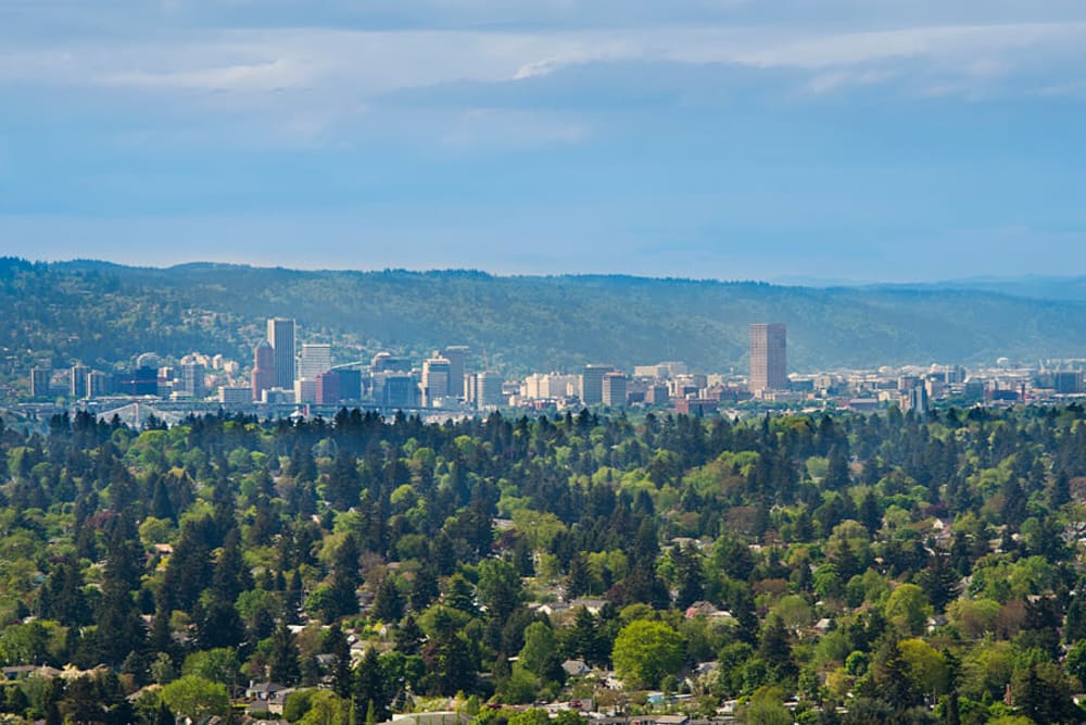 Panoramic views of downtown at Altamont Summit in Happy Valley, Oregon 