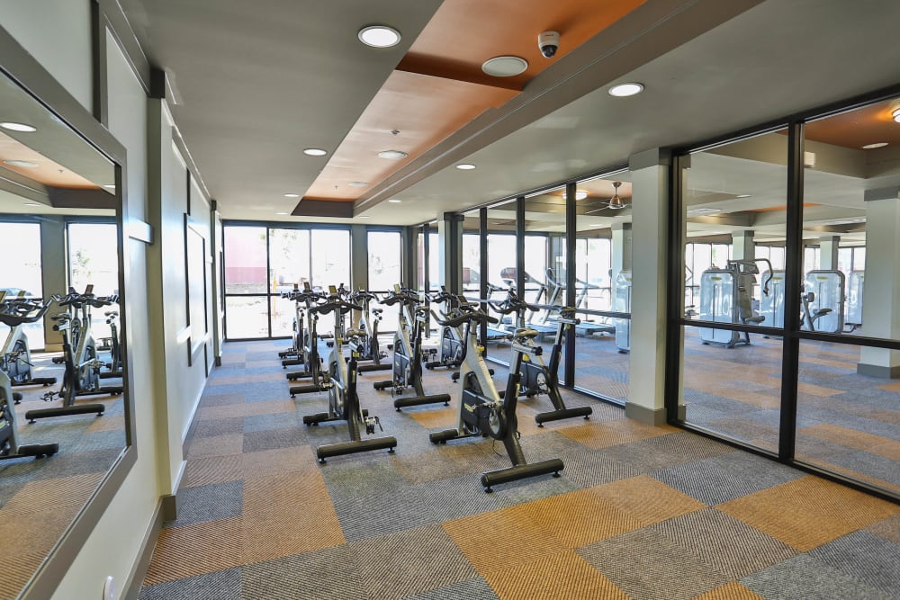 Spin bikes in the fitness center at Olympus Steelyard in Chandler, Arizona