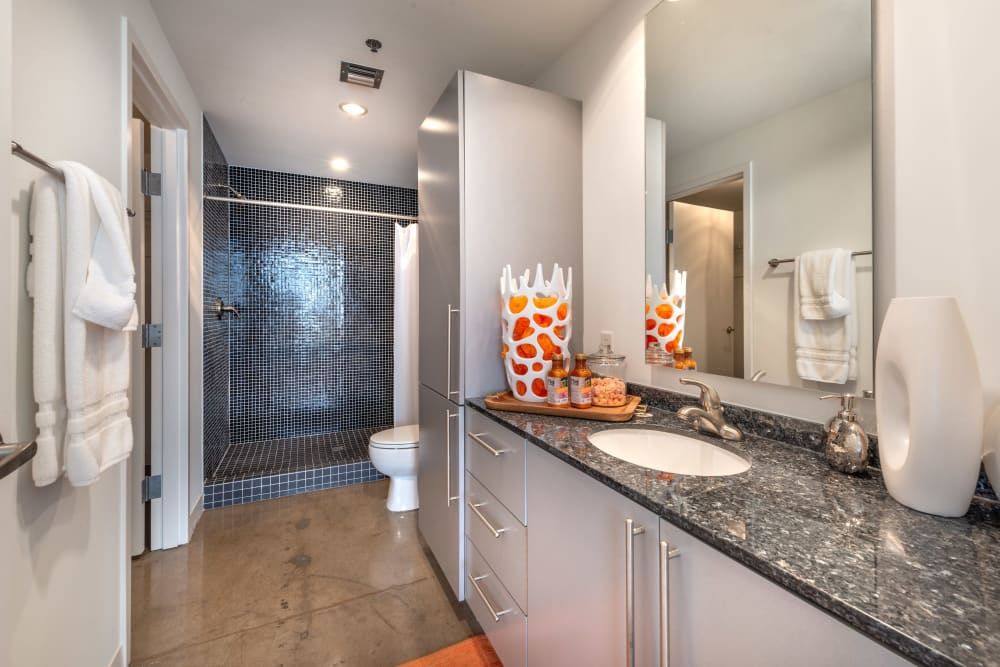 Large bathroom at Mosaic Dallas in Dallas, Texas