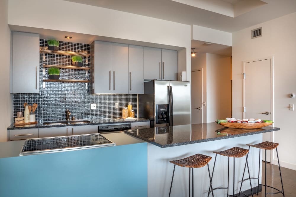 Gourmet kitchen with stainless-steel appliances at Mosaic Dallas in Dallas, Texas
