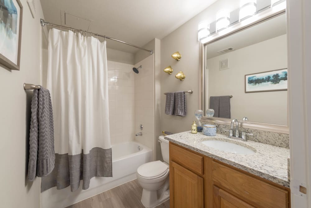 Large vanity mirror and a granite countertop in a model apartment's bathroom at Olympus Stone Glen in Keller, Texas