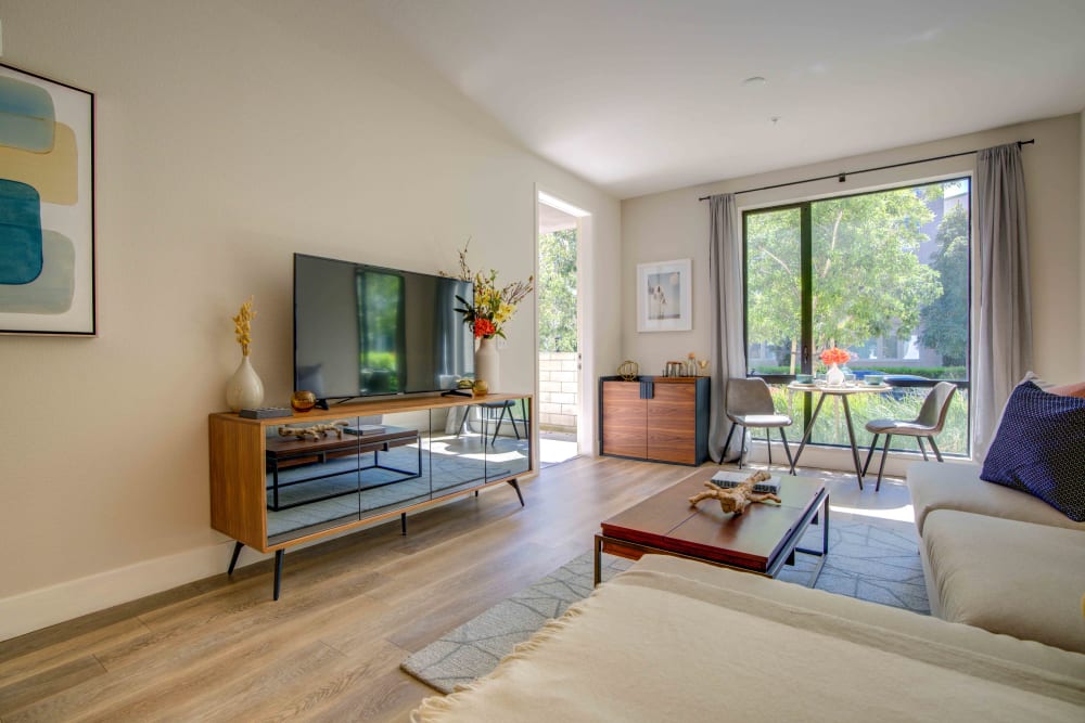 Our Apartments in San Jose, California offer a Living Room