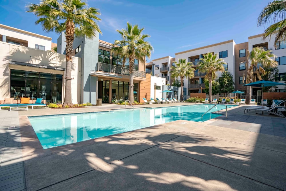 Our Apartments in San Jose, California offer a Swimming Pool