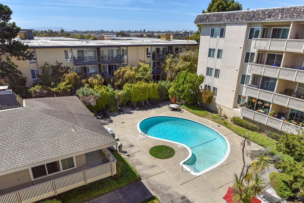 Aerial view of the swimming pool and lawn at Tower Apartment Homes in Alameda, California