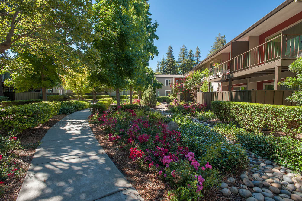 Woodland walkways at Flora Condominium Rentals in Walnut Creek, California