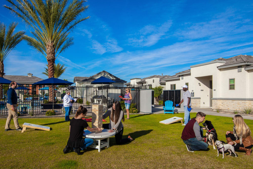 Community picnic area at Christopher Todd Communities On Mountain View in Surprise, Arizona