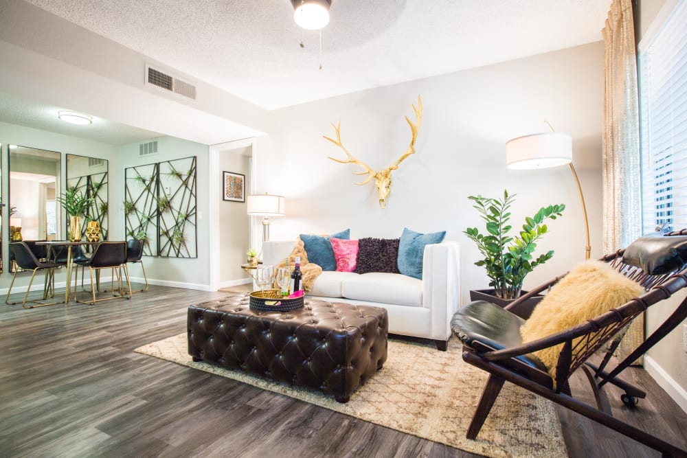 Well decorated living room with bright accent pillows at 4127 Arcadia in Phoenix, Arizona