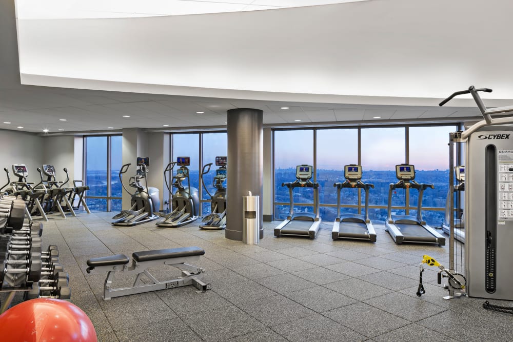 Challenging array of cardio machines at Skyline New Rochelle in New Rochelle, New York