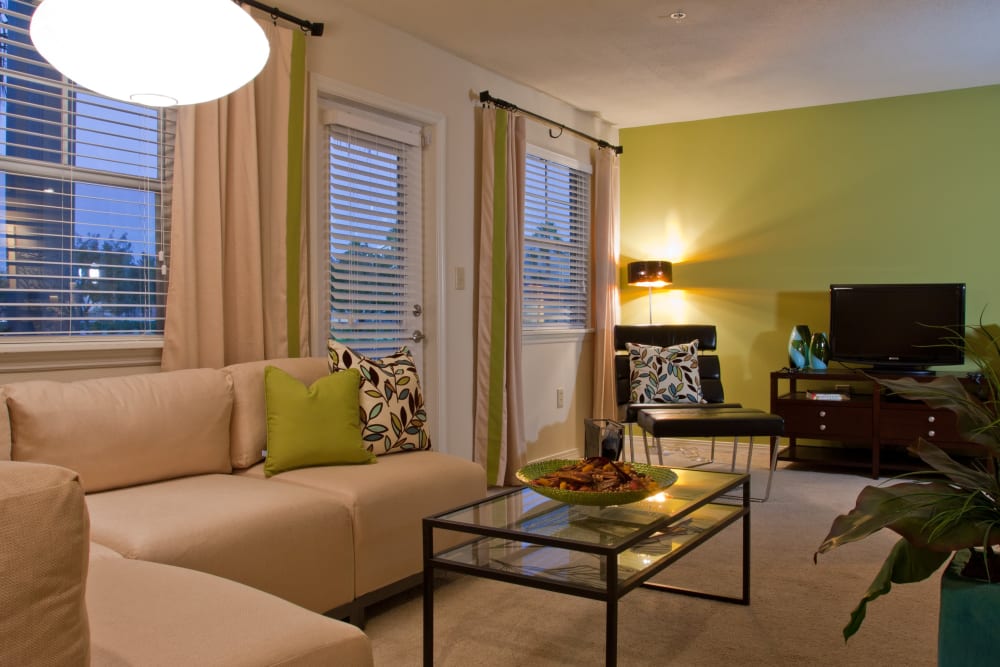 Accent wall in the spacious open-concept living area of a model home at Abaco Key in Orlando, Florida