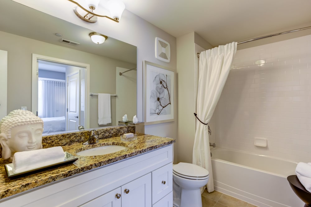 Spacious bathroom with a large vanity mirror at The Oaks Of Vernon Hills in Vernon Hills, Illinois