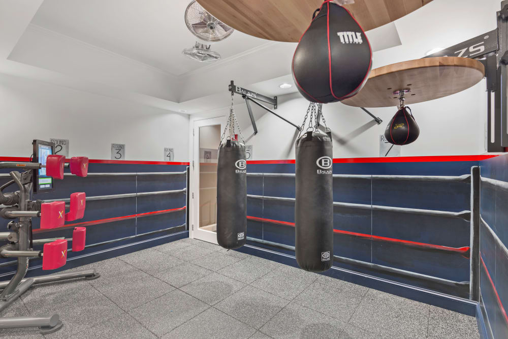 Boxing room at Bradlee Danvers in Danvers, Massachusetts