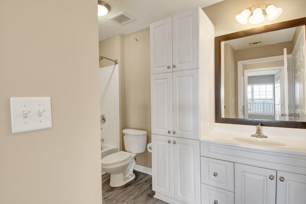 Bathroom at Bradlee Danvers in Danvers, Massachusetts