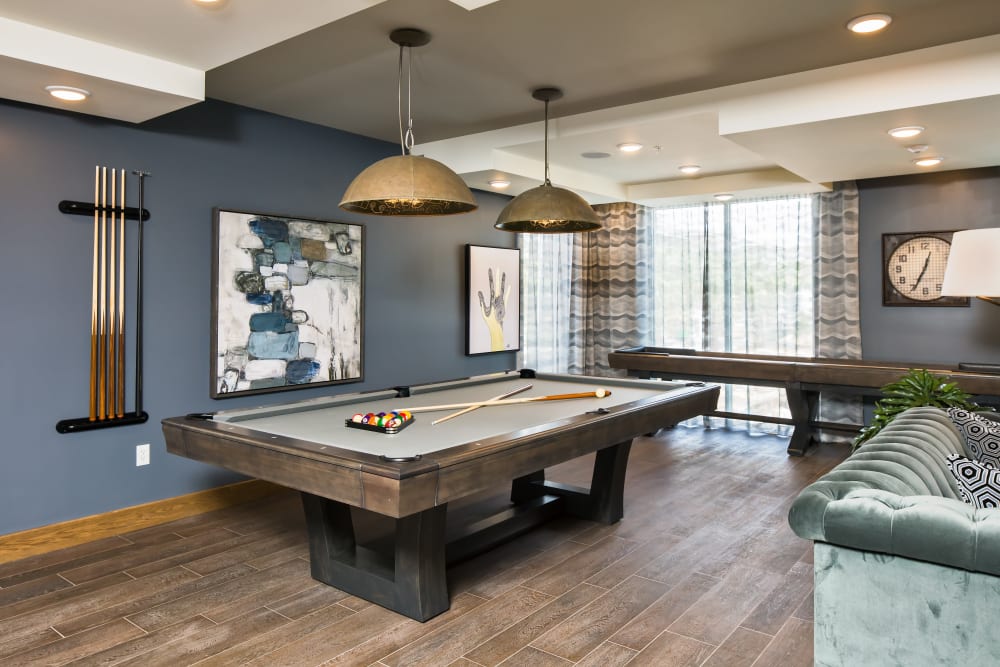 Billiards table at Linden Audubon Park in Orlando, Florida