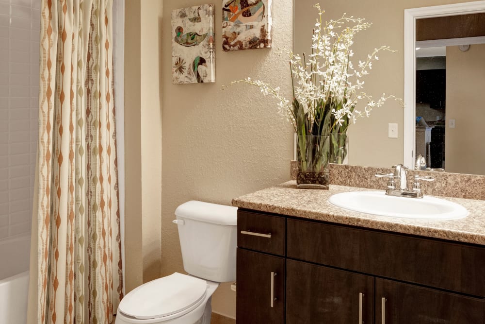 A decorated apartment bathroom at City Center on 7th Apartment Homes in Pembroke Pines, Florida