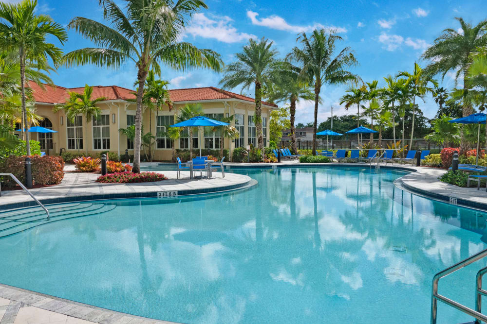 Luxurious swimming pool at City Center on 7th Apartment Homes in Pembroke Pines, Florida