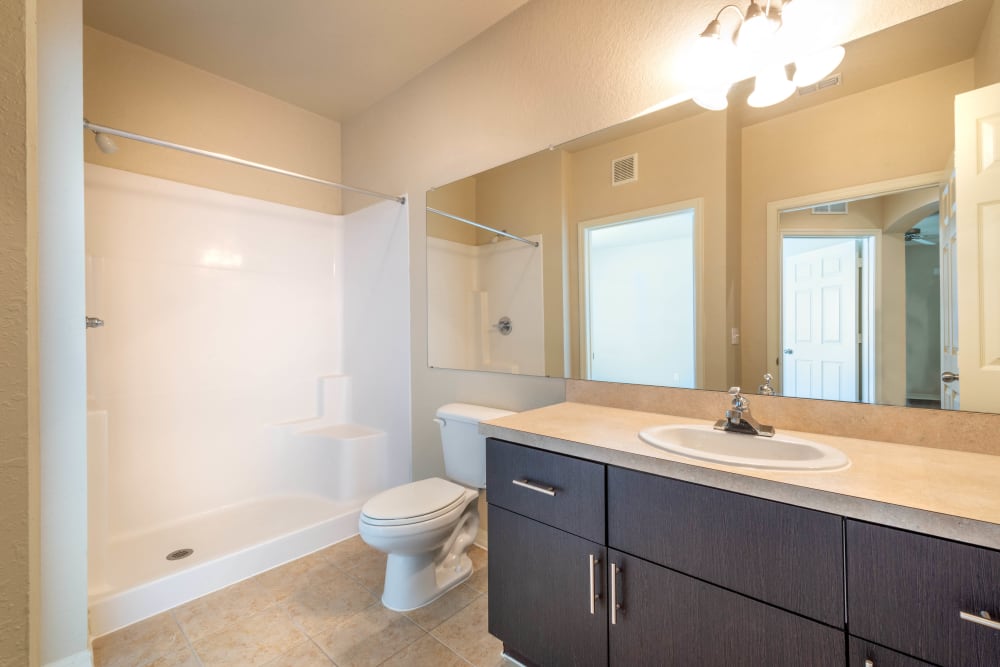 Granite countertop and a tiled shower in a model apartment's bathroom at Mirador & Stovall at River City in Jacksonville, Florida