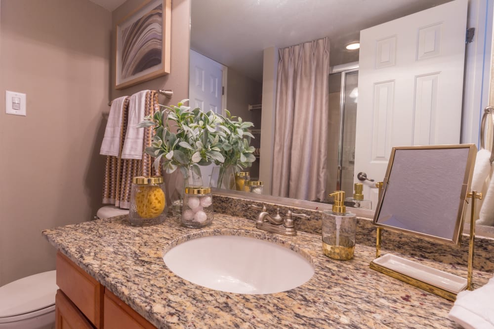 Photos of The Ashford Apartment Homes in Brookhaven, GA