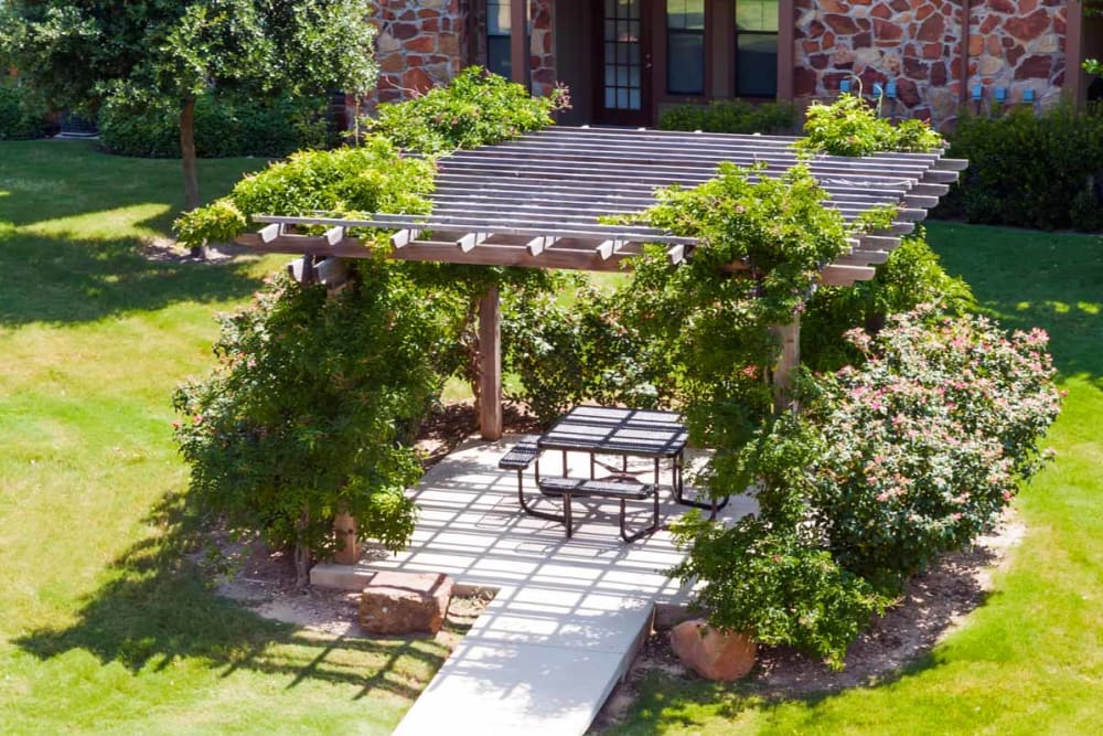 Ivy-covered pergola providing shade to a picnic area at Olympus Team Ranch in Benbrook, Texas