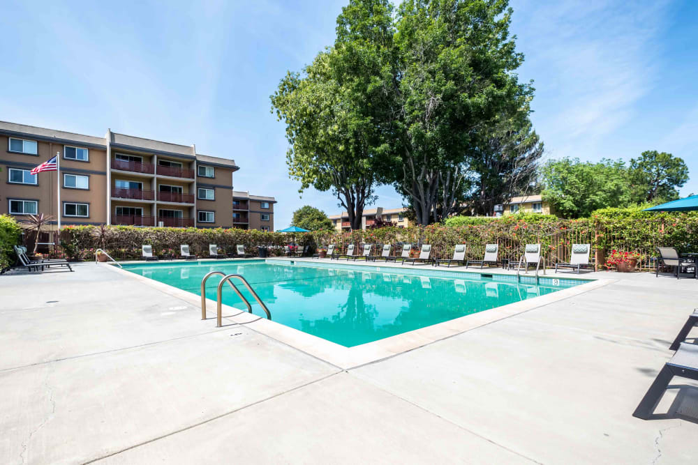 Outdoor pool and lounge chairs at Waterstone Fremont in Fremont, California